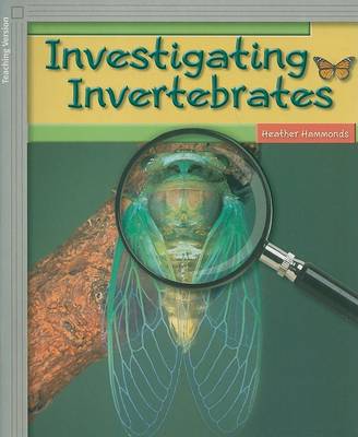 Book cover for Investigating Invertebrates