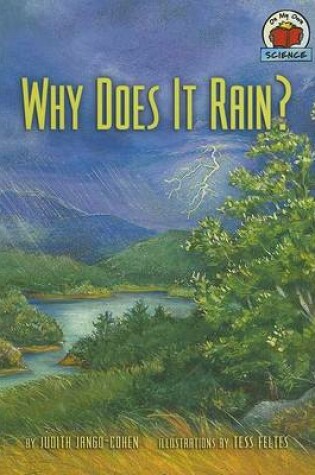 Cover of Why Does It Rain?