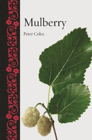 Cover of Mulberry