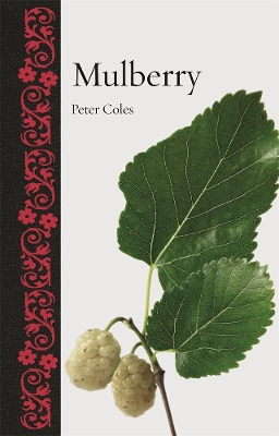 Book cover for Mulberry