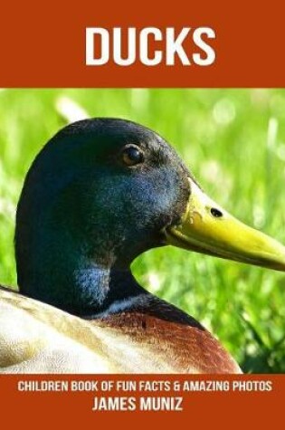 Cover of Ducks