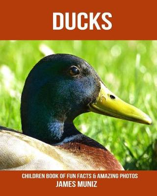 Book cover for Ducks