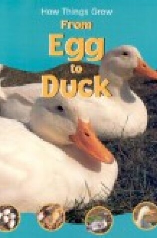 Cover of From Egg to Duck