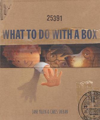 Book cover for What to Do with a Box