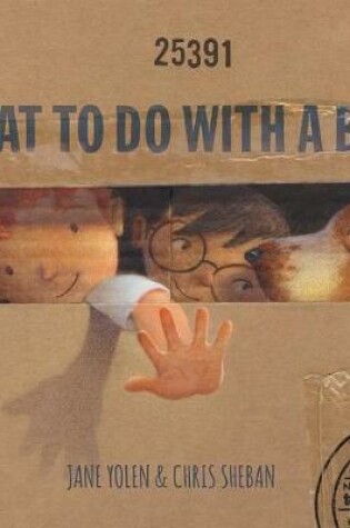 Cover of What to Do with a Box