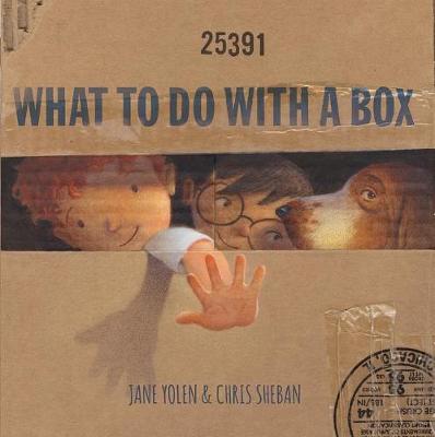 Book cover for What to Do with a Box