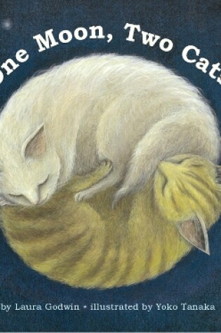 Cover of One Moon, Two Cats