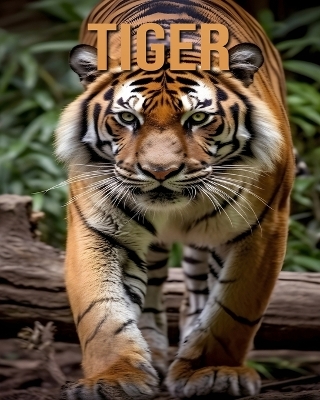 Book cover for Tiger