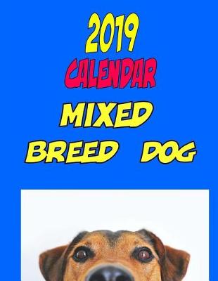 Book cover for 2019 Calendar Mixed Breed Dog