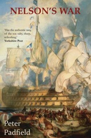 Cover of Nelson's War