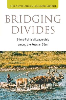 Book cover for Bridging Divides