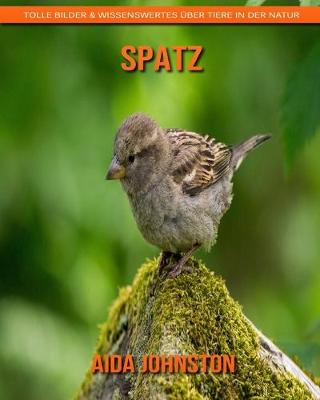 Book cover for Spatz