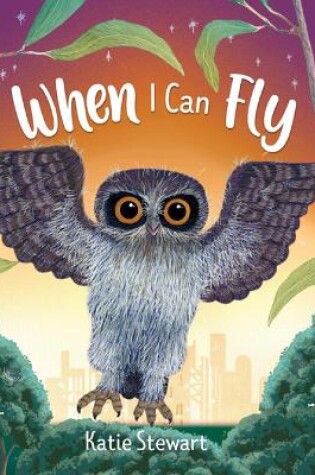 Cover of When I Can Fly