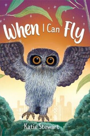 Cover of When I Can Fly