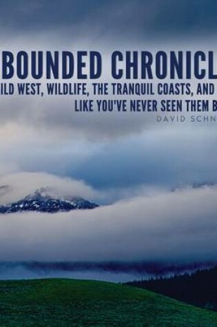 Cover of Unbounded Chronicles