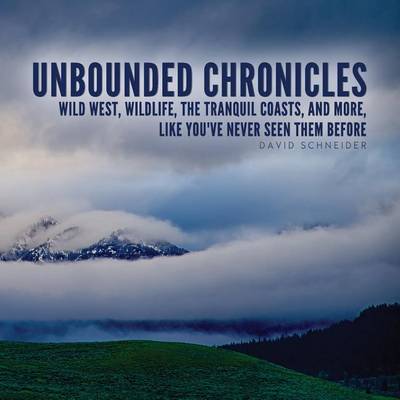 Book cover for Unbounded Chronicles