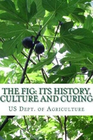 Cover of The Fig