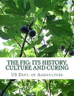 Book cover for The Fig