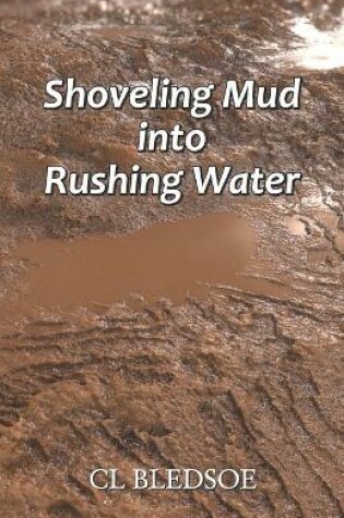 Cover of Shoveling Mud into Rushing Water