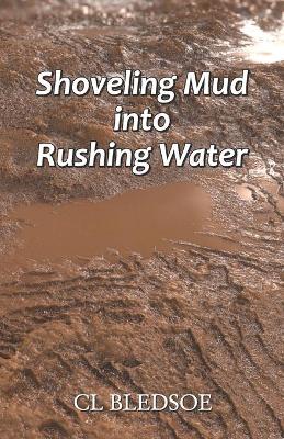 Book cover for Shoveling Mud into Rushing Water