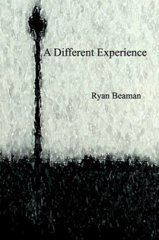 Cover of A Different Experience