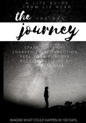 Book cover for The 100 Day Journey