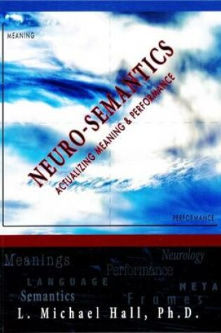 Cover of Neuro-Semantics