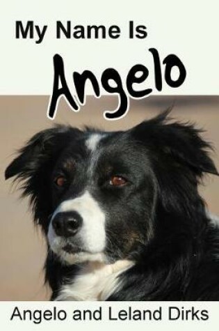 Cover of My Name Is Angelo