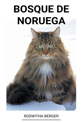 Book cover for Bosque de Noruega