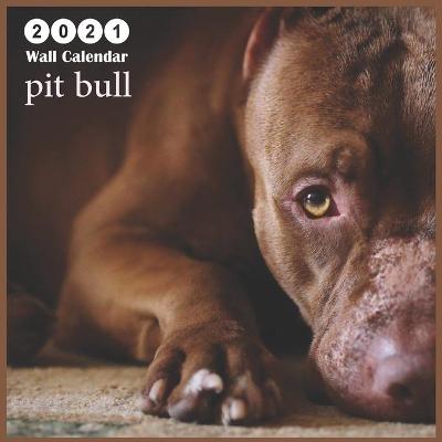 Book cover for pit bull