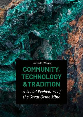 Book cover for Community, Technology and Tradition