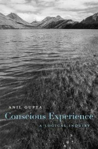 Cover of Conscious Experience