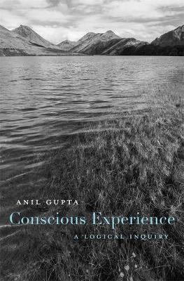 Book cover for Conscious Experience