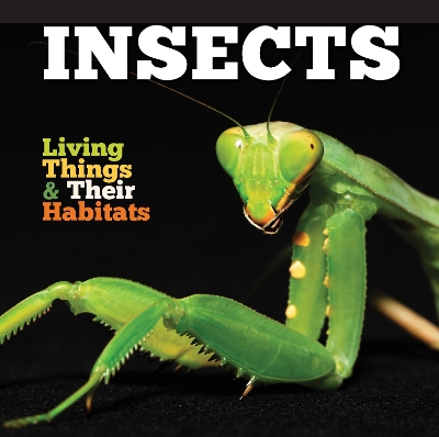 Book cover for Insects