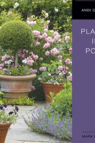 Cover of Plants in Pots