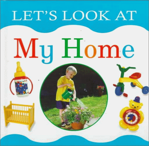 Book cover for Lets Look at My Home
