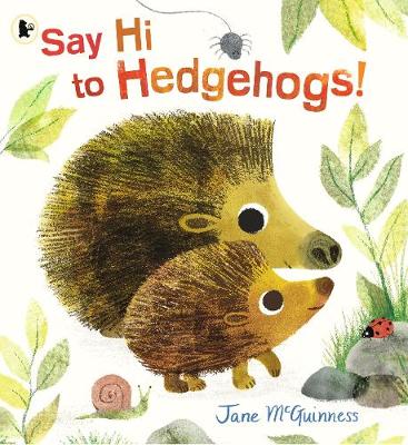 Book cover for Say Hi to Hedgehogs!