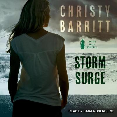 Book cover for Storm Surge