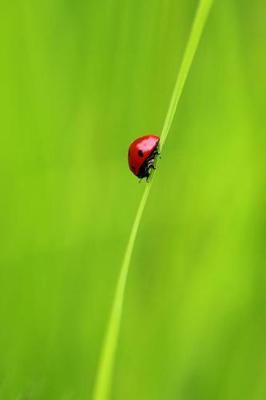 Book cover for Ladybug and a Blade of Grass - Blank Notebook