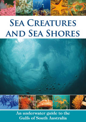 Book cover for Sea Creatures and Sea Shores