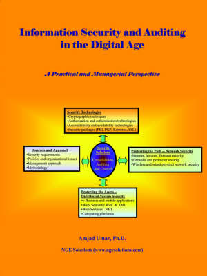 Book cover for Information Security and Auditing in the Digital Age