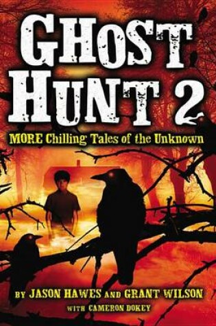 Cover of Ghost Hunt 2
