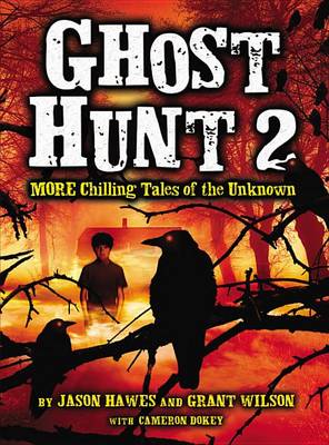 Book cover for Ghost Hunt 2