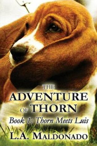 Cover of The Adventure of Thorn