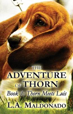 Book cover for The Adventure of Thorn