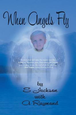 Book cover for When Angels Fly
