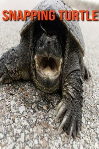 Cover of Snapping Turtle