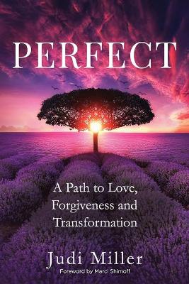 Book cover for Perfect