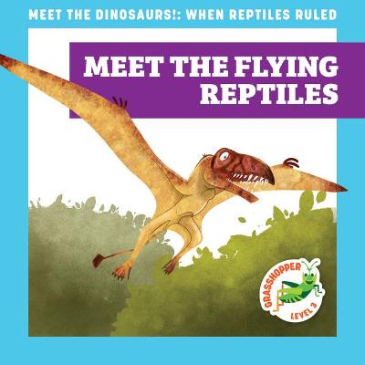 Book cover for Meet the Flying Reptiles