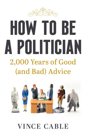 Book cover for How to be a Politician